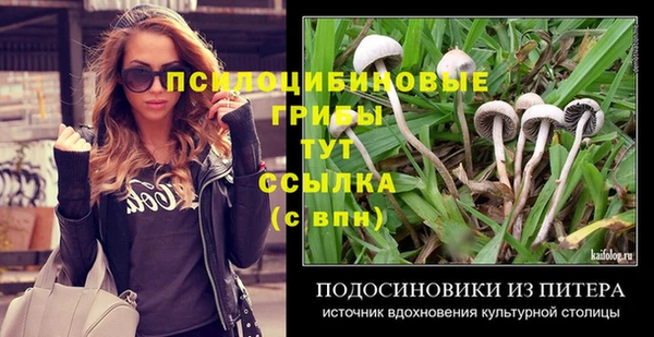 дмт Алексин
