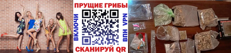 blacksprut как войти  Омск  Галлюциногенные грибы мухоморы 